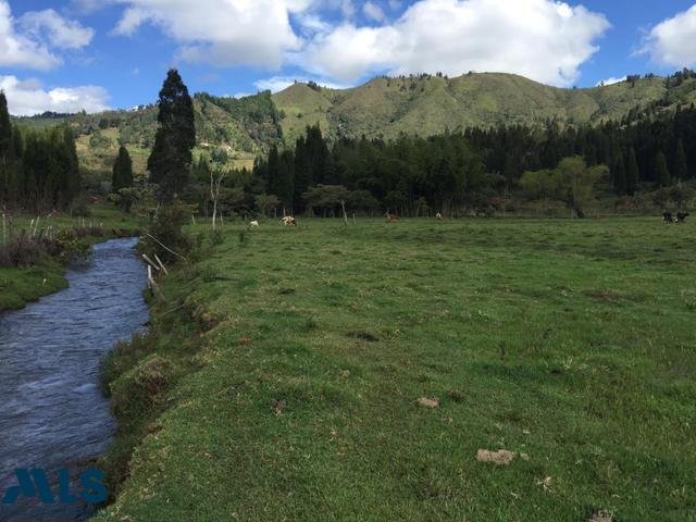 Land in Guarne, Antioquia, Colombia 2 - 16208546