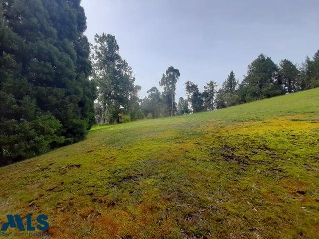 Land in Vereda El Penasco, Antioquia, Colombia 4 - 16208507