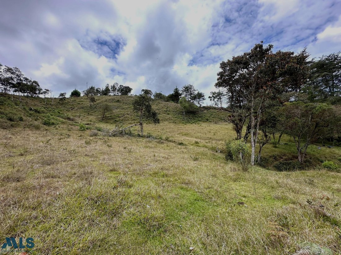 Land in El Bosque, Antioquia, Colombia 5 - 16208751