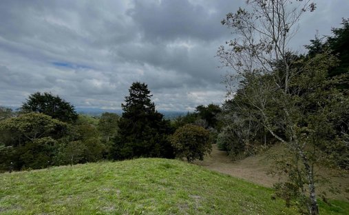 Terreno a La Margarita, Dipartimento di Antioquia, Colombia 1