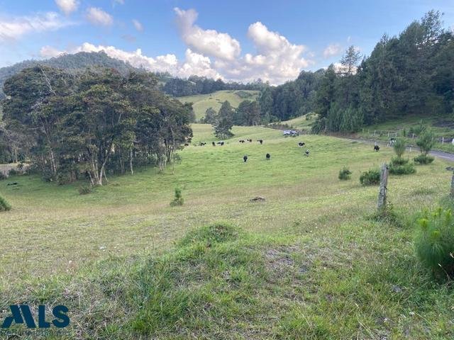 Land in Retiro, Antioquia, Colombia 4 - 16208673