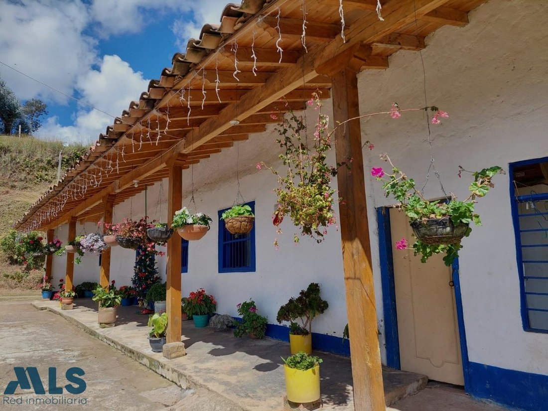 House in El Carmen de Viboral, Antioquia, Colombia 5 - 16208734