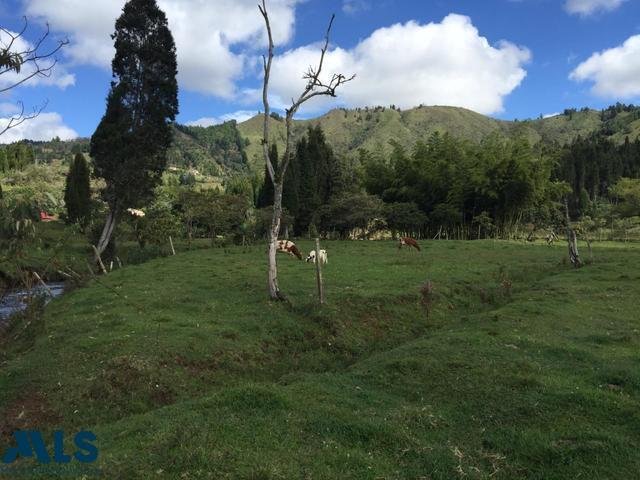 Land in Guarne, Antioquia, Colombia 1 - 16208546