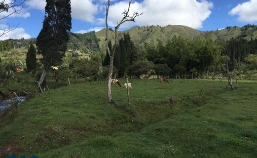 Land in Guarne, Antioquia, Colombia 1