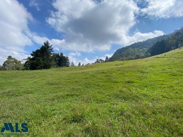 Land in Medellín, Antioquia, Colombia 3 - 16208843