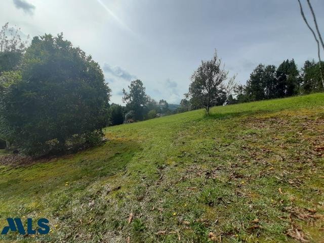 Land in Vereda El Penasco, Antioquia, Colombia 5 - 16208507