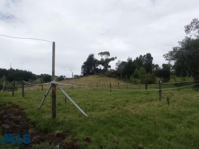 Land in Vereda El Penasco, Antioquia, Colombia 5 - 16208838