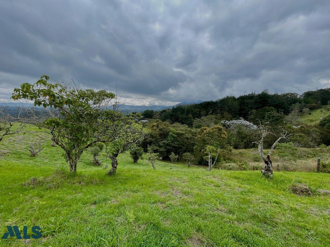 Land in Rionegro, Rionegro, Colombia 3 - 16208821