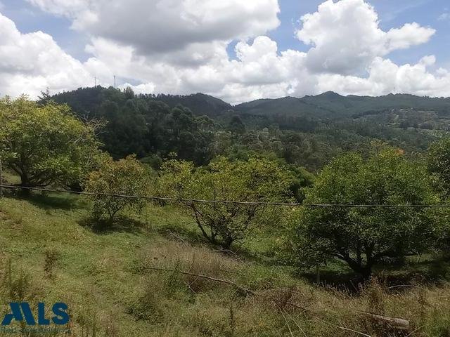 Land in Rionegro, Antioquia, Colombia 3 - 16208714