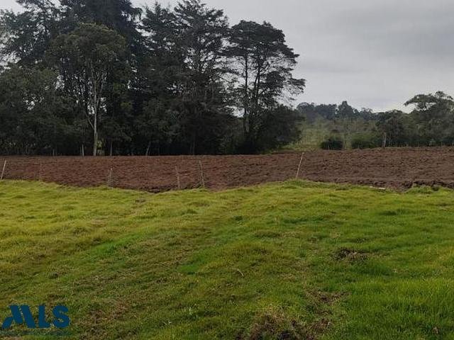 Land in Plan, Antioquia, Colombia 3 - 16208913
