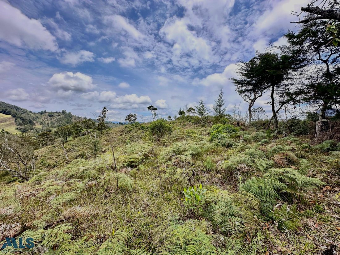 Land in El Bosque, Antioquia, Colombia 1 - 16208751