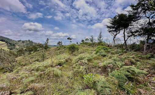 Land in El Bosque, Antioquia, Colombia 1