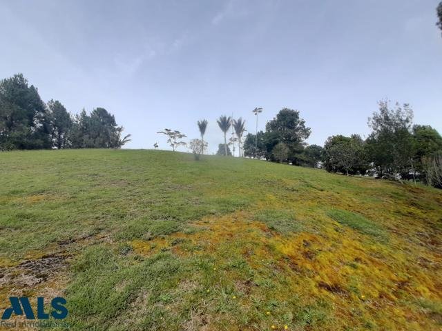 Land in Vereda El Penasco, Antioquia, Colombia 3 - 16208507