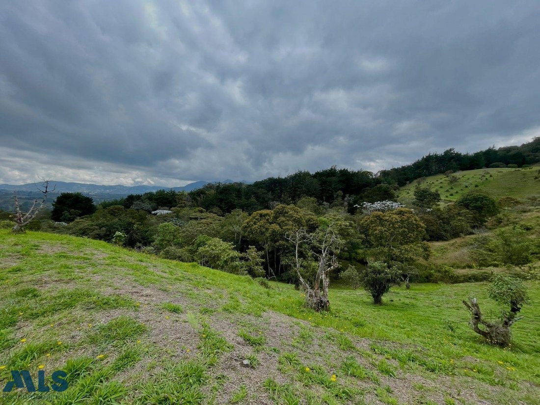 Land in Rionegro, Rionegro, Colombia 5 - 16208821