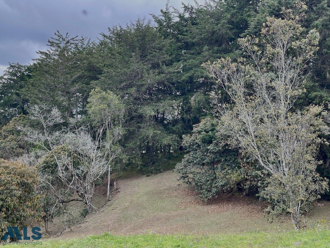 Land in La Margarita, Antioquia, Colombia 2 - 16208846