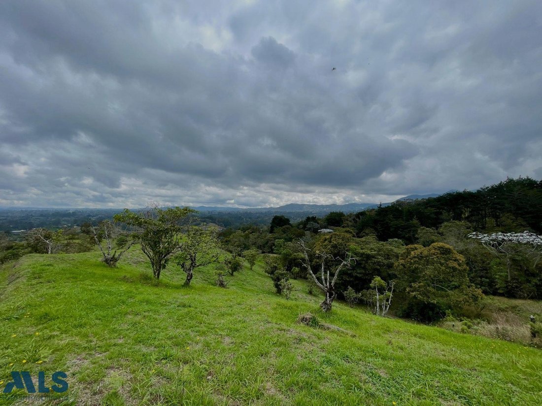 Land in Rionegro, Rionegro, Colombia 1 - 16208821