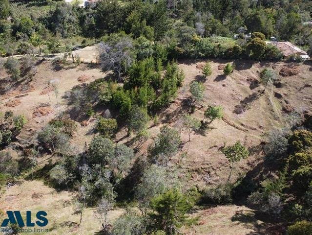 Land in Don Diego, Antioquia, Colombia 5 - 16208291