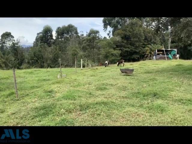 Land in Rionegro, Antioquia, Colombia 3 - 16208991