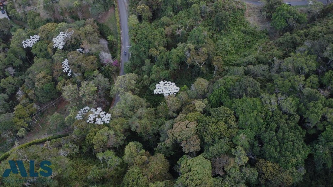 Land in Los Salados, Antioquia, Colombia 4 - 16209007
