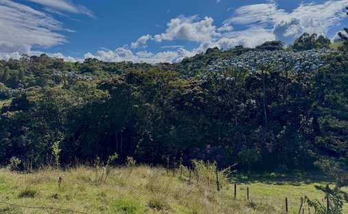 Terreno a El Cebadero, Dipartimento di Antioquia, Colombia 1