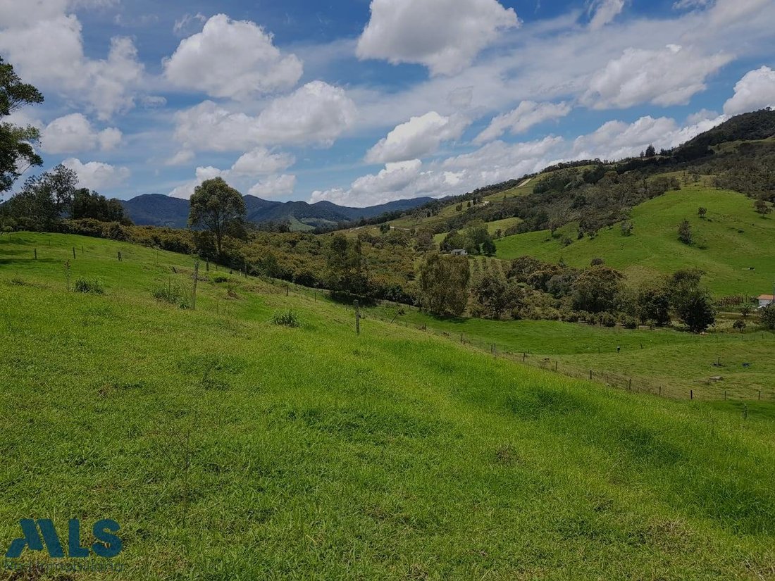 Terrain à Rionegro, Rionegro, Colombie 3 - 16208922