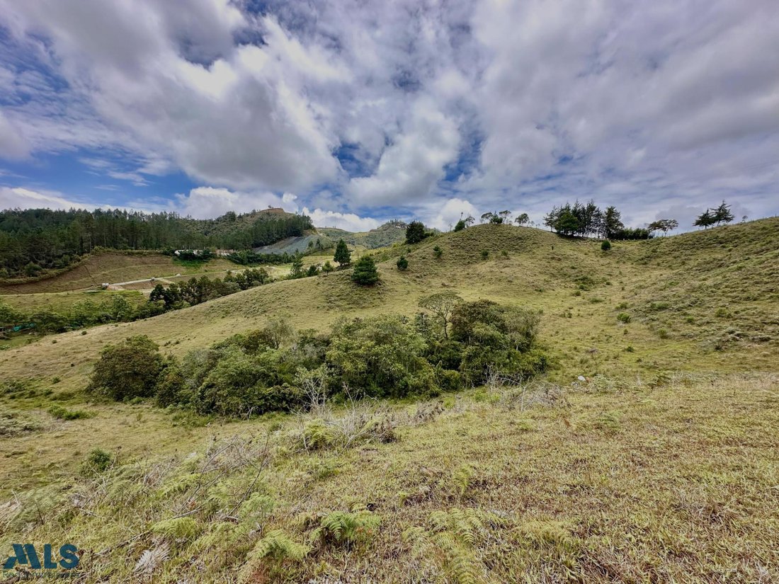 Land in El Bosque, Antioquia, Colombia 2 - 16208751