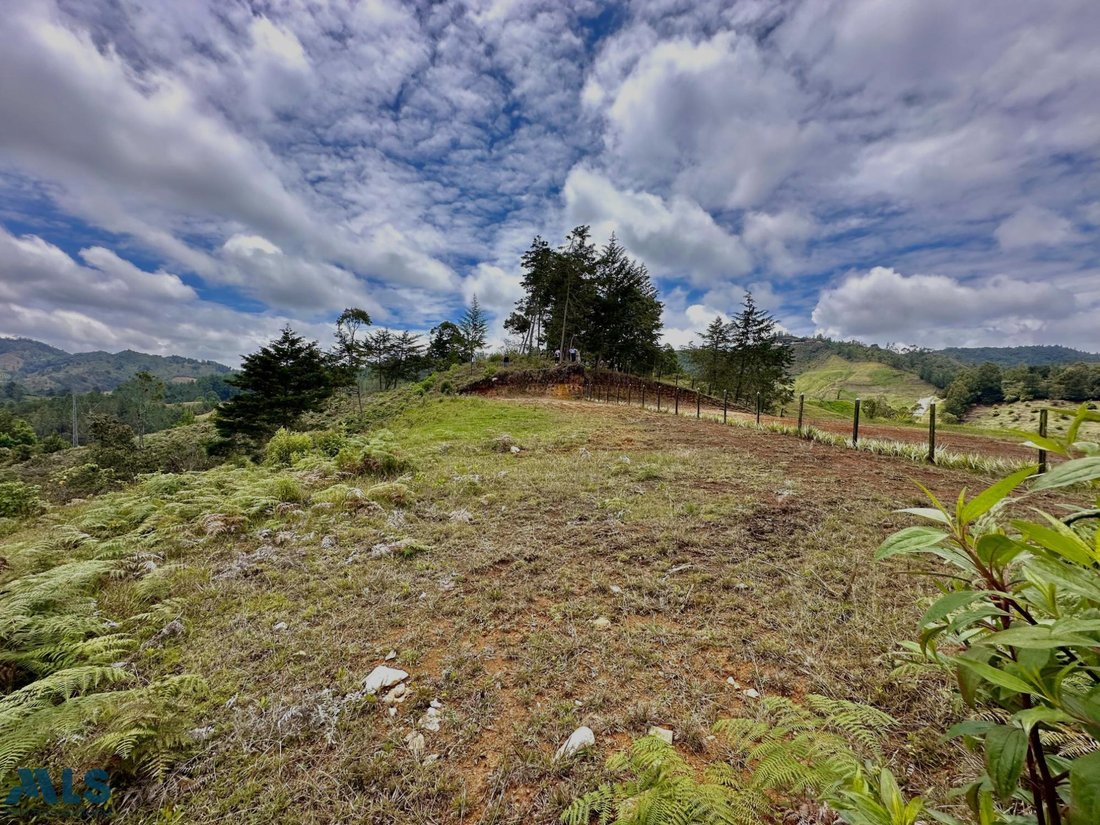 Land in El Bosque, Antioquia, Colombia 3 - 16208751