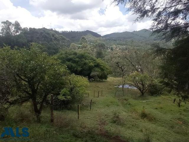 Land in Rionegro, Antioquia, Colombia 2 - 16208714