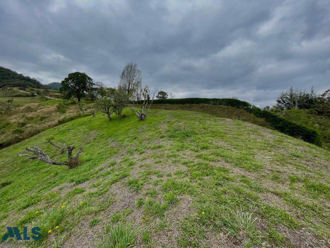 Land in Rionegro, Rionegro, Colombia 4 - 16208821