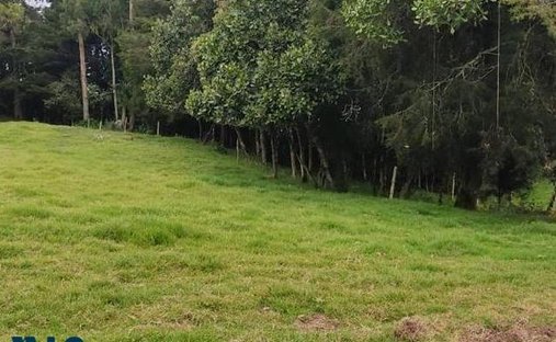 Land in Plan, Antioquia, Colombia 1