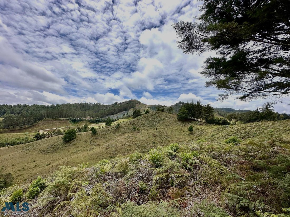 Land in El Bosque, Antioquia, Colombia 4 - 16208751