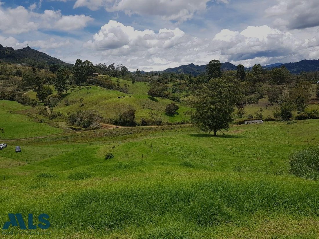 Terrain à Rionegro, Rionegro, Colombie 4 - 16208922