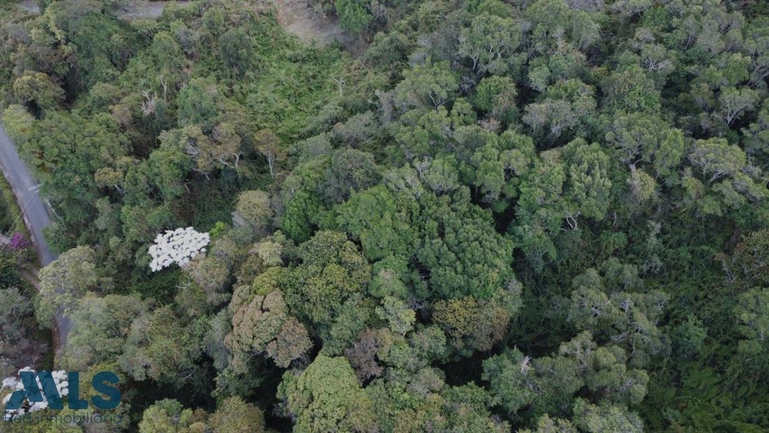 Land in Los Salados, Antioquia, Colombia 3 - 16209007
