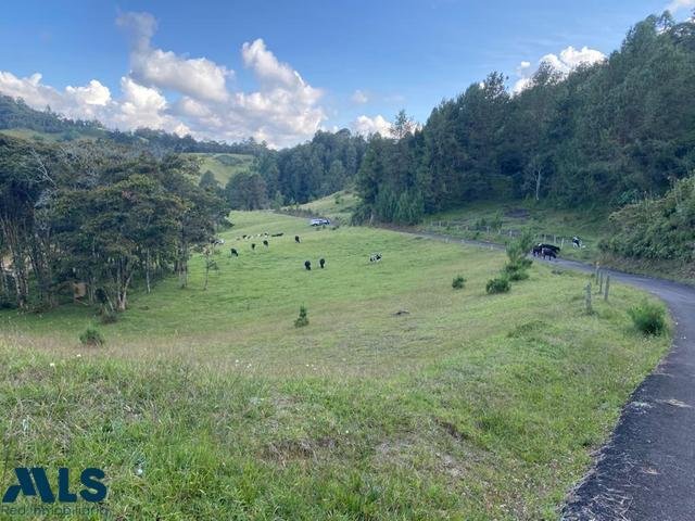 Land in Retiro, Antioquia, Colombia 1 - 16208673