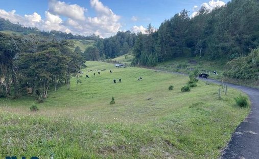 Land in Retiro, Antioquia, Colombia 1