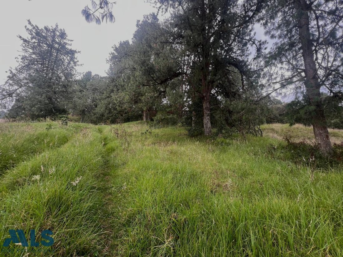 Land in Envigado, Antioquia, Colombia 4 - 16208534
