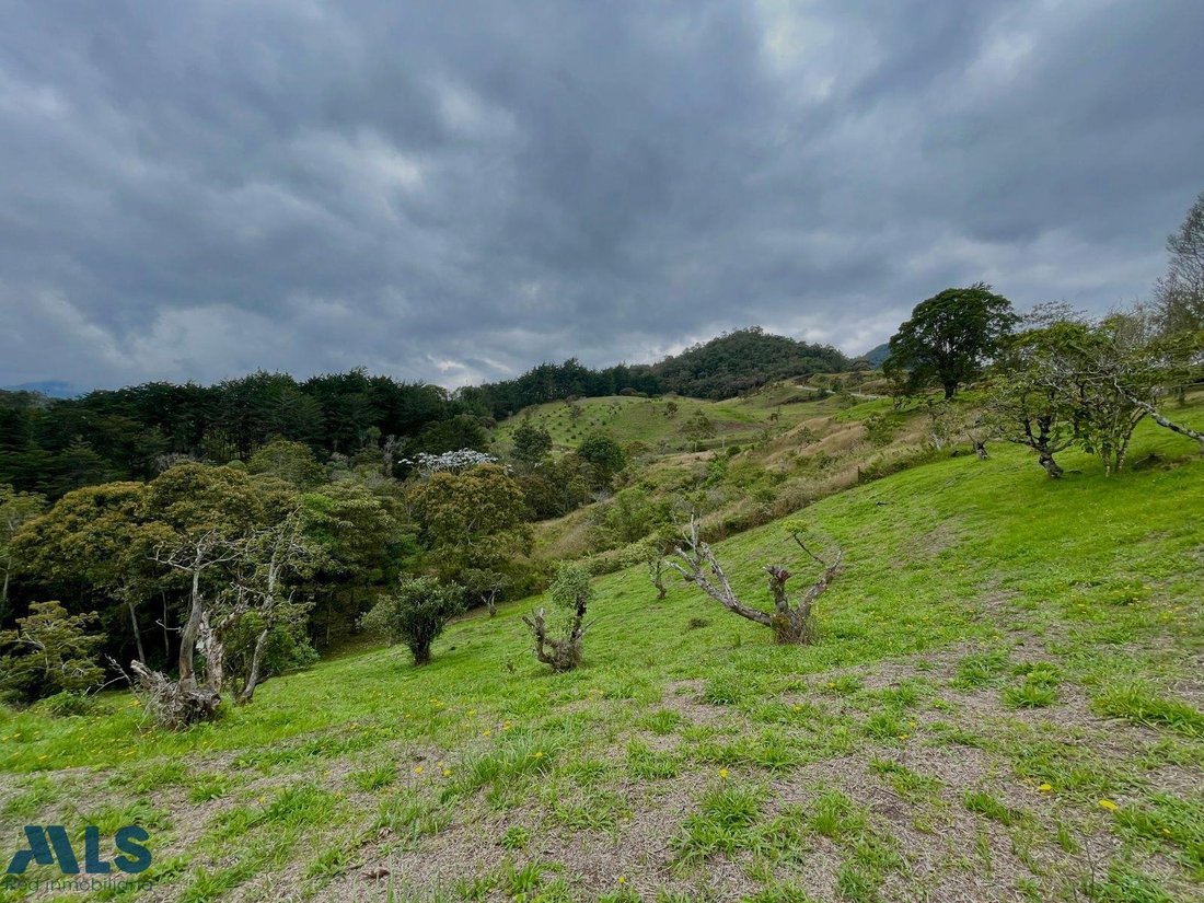 Land in Rionegro, Rionegro, Colombia 2 - 16208821