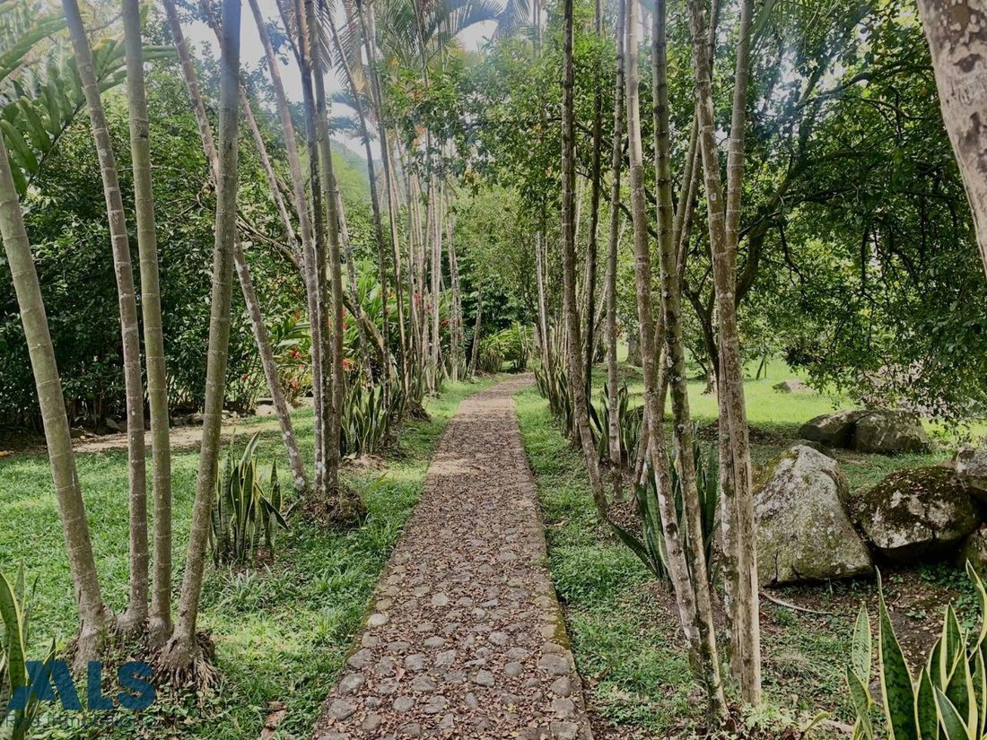Land in San Jerónimo, Antioquia, Colombia 5 - 16208651