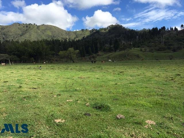 Land in Guarne, Antioquia, Colombia 5 - 16208546