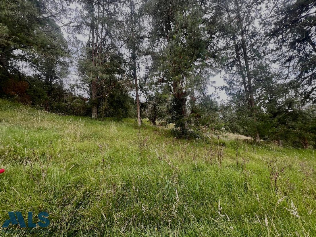 Land in Envigado, Antioquia, Colombia 5 - 16208534