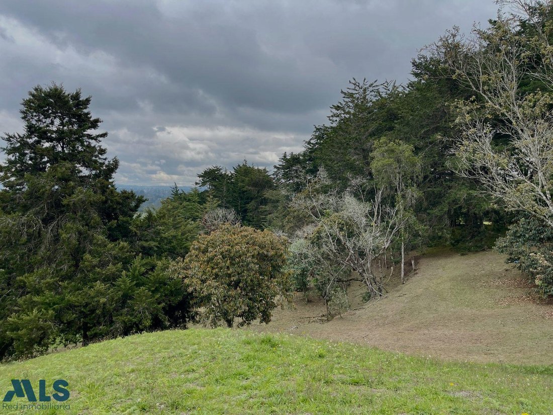 Land in La Margarita, Antioquia, Colombia 4 - 16208846