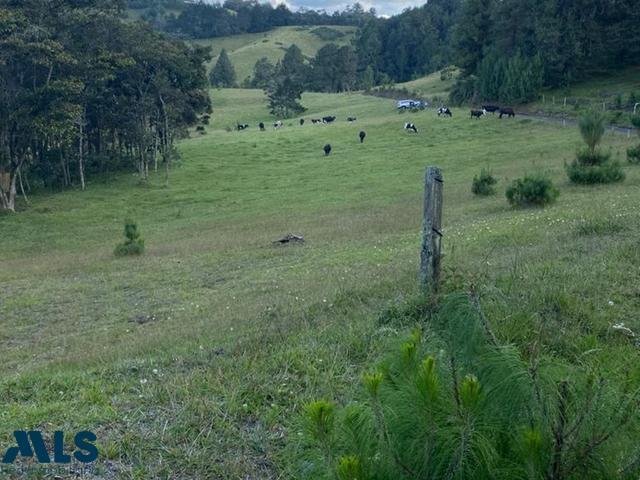 Land in Retiro, Antioquia, Colombia 2 - 16208673