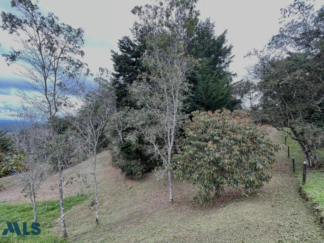 Land in La Margarita, Antioquia, Colombia 3 - 16208846