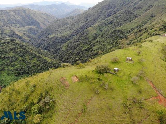 Land in Medellín, Antioquia, Colombia 4 - 16208568