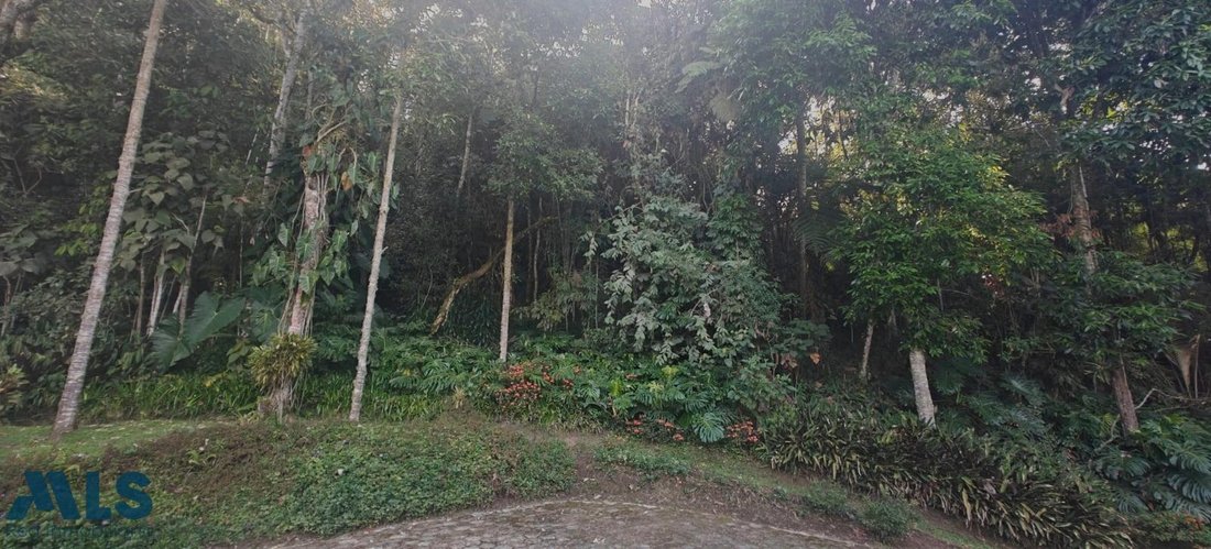 House in Don Diego, Antioquia, Colombia 5 - 16208595