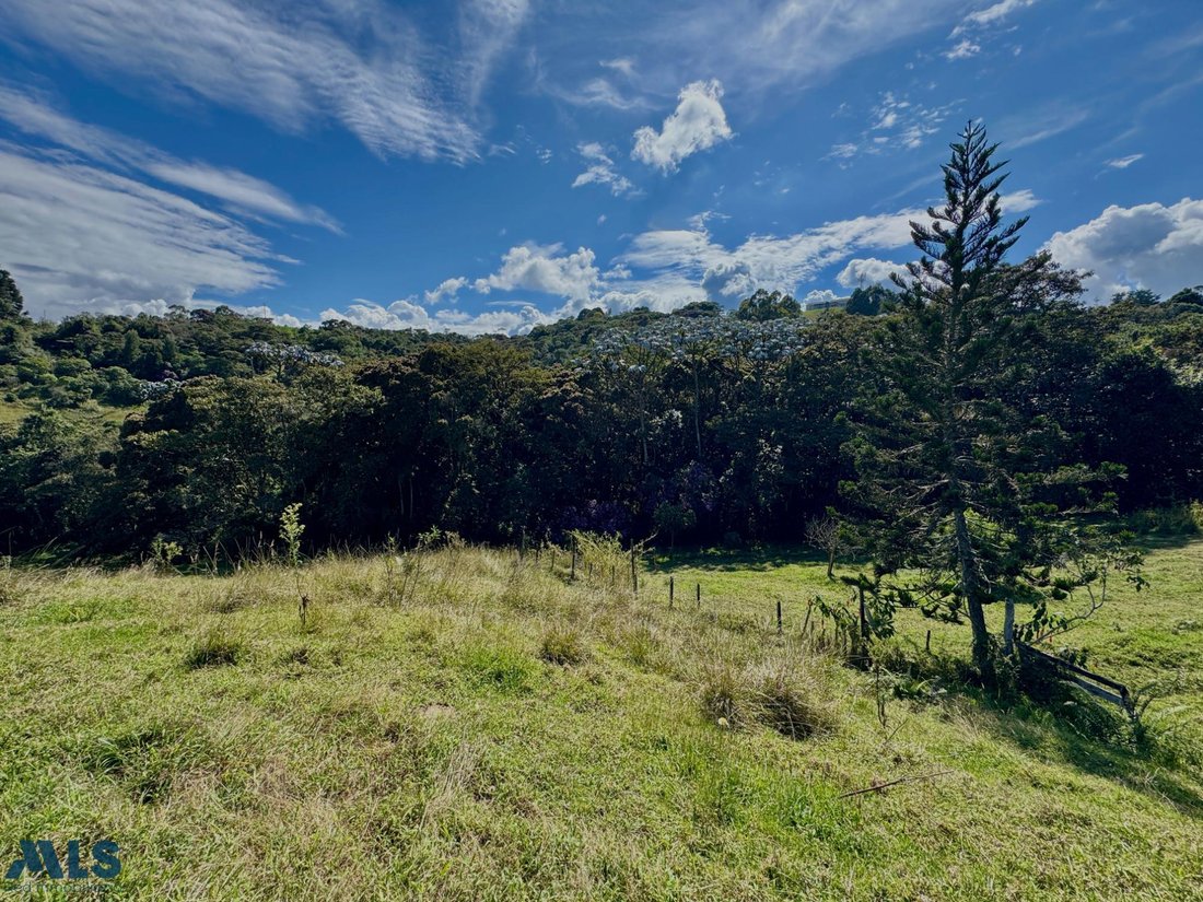 Land in El Cebadero, Antioquia, Colombia 2 - 16208299