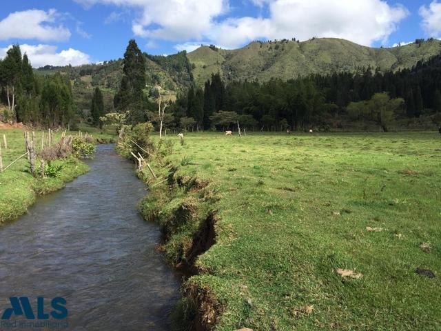 Land in Guarne, Antioquia, Colombia 4 - 16208546