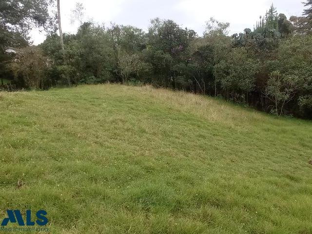 Land in Vereda El Penasco, Antioquia, Colombia 4 - 16208838