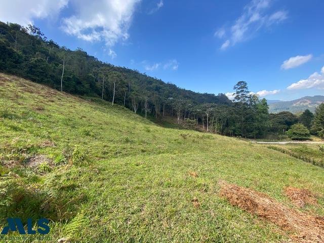 Land in Medellín, Antioquia, Colombia 4 - 16208843