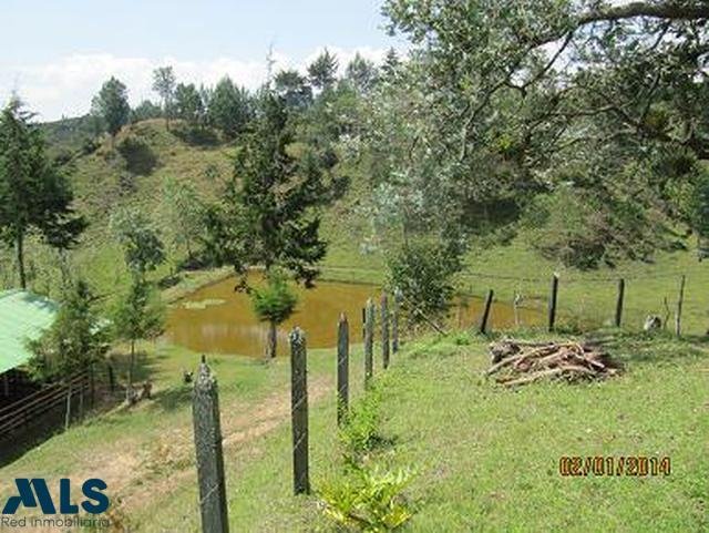 Terrain à Marinilla, Antioquia, Colombie 2 - 16208514